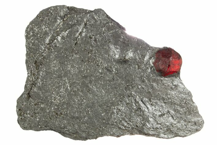 Red Embers Garnet in Graphite - Massachusetts #313484